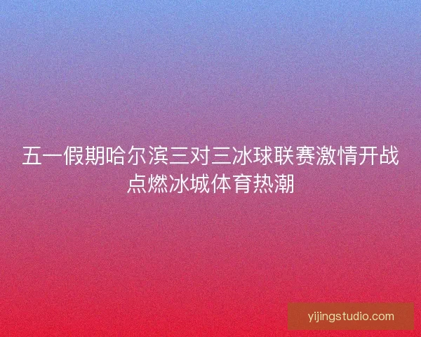 五一假期哈尔滨三对三冰球联赛激情开战点燃冰城体育热潮