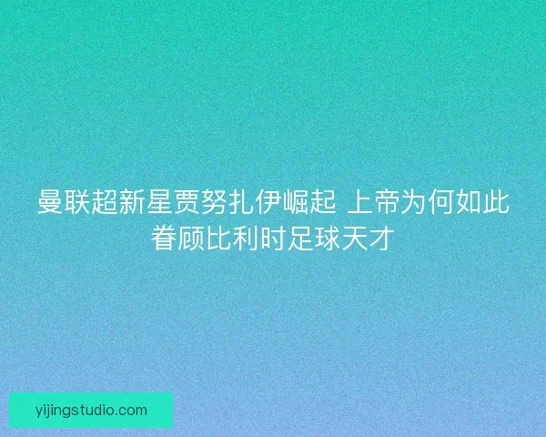 曼联超新星贾努扎伊崛起 上帝为何如此眷顾比利时足球天才